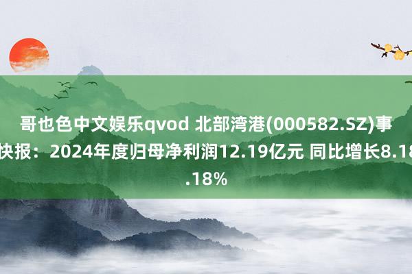 哥也色中文娱乐qvod 北部湾港(000582.SZ)事迹快报：2024年度归母净利润12.19亿元 同比增长8.18%