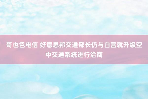 哥也色电信 好意思邦交通部长仍与白宫就升级空中交通系统进行洽商